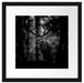 Hirsch im Wald schaut neugierig in die Kamera, Monochrome Passepartout Quadratisch 40
