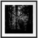 Hirsch im Wald schaut neugierig in die Kamera, Monochrome Passepartout Quadratisch 55