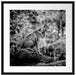 Wolf sitzt auf einem Stein im Herbstwald, Monochrome Passepartout Quadratisch 55
