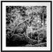 Wolf sitzt auf einem Stein im Herbstwald, Monochrome Passepartout Quadratisch 70