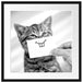 Lustige Katze mit Lächeln auf Papier, Monochrome Passepartout Quadratisch 55