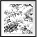 Nahaufnahme blühender Magnolienbaum, Monochrome Passepartout Quadratisch 70