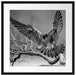 Falke landet auf kahlem Ast, Monochrome Passepartout Quadratisch 55