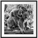 Koala Mutter mit Kind auf dem Rücken, Monochrome Passepartout Quadratisch 70
