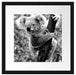 Neugieriger Koala an Baumstamm, Monochrome Passepartout Quadratisch 40