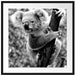 Neugieriger Koala an Baumstamm, Monochrome Passepartout Quadratisch 70