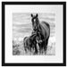 Pferdemutter mit Fohlen auf Wiese, Monochrome Passepartout Quadratisch 40
