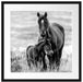 Pferdemutter mit Fohlen auf Wiese, Monochrome Passepartout Quadratisch 55