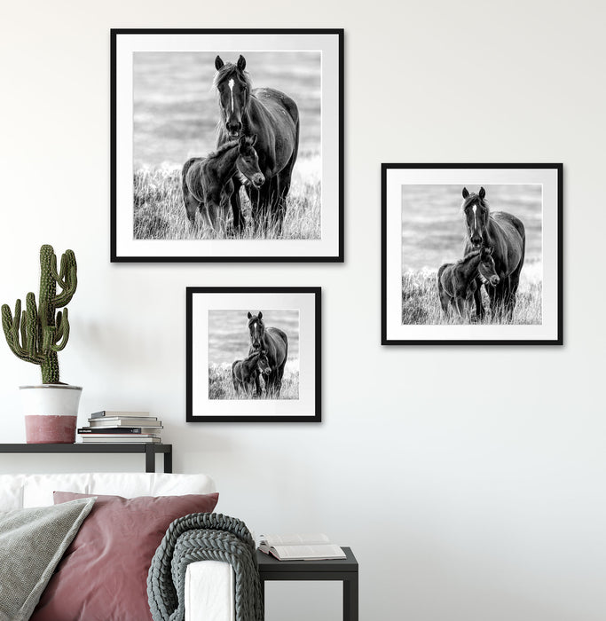 Pferdemutter mit Fohlen auf Wiese, Monochrome Passepartout Wohnzimmer Quadratisch