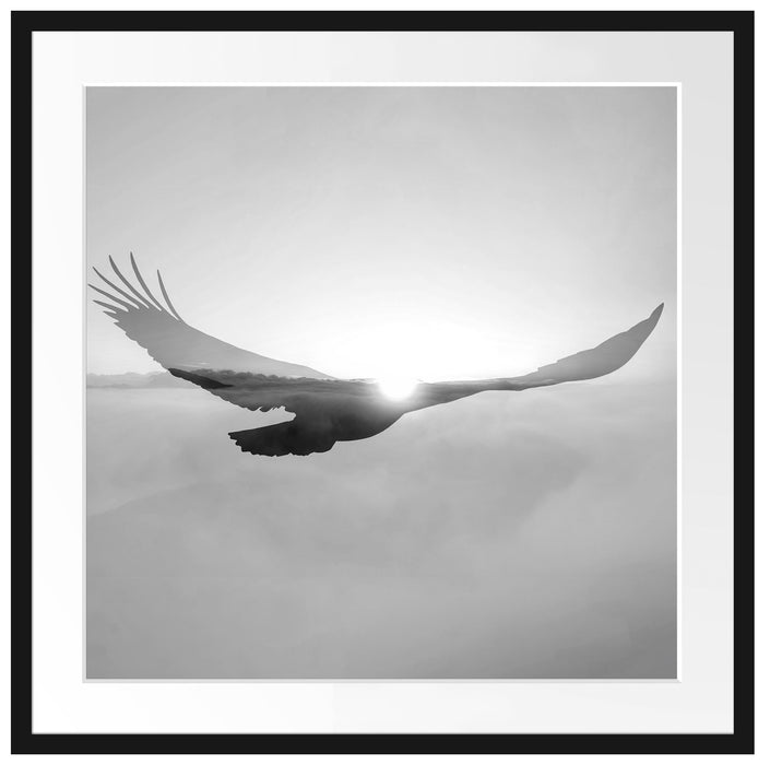 Verblassender Adler im Sonnenuntergang, Monochrome Passepartout Quadratisch 70