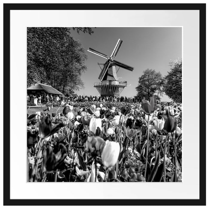 Holländisches Tulpenmeer vor Windmühle, Monochrome Passepartout Quadratisch 55