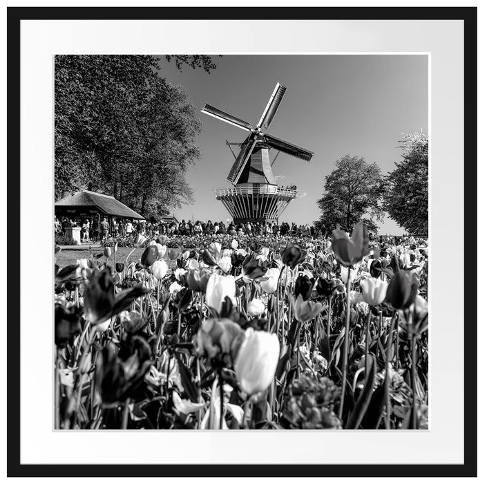 Holländisches Tulpenmeer vor Windmühle, Monochrome Passepartout Quadratisch 70