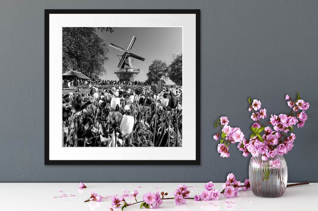 Holländisches Tulpenmeer vor Windmühle, Monochrome Passepartout Detail Quadratisch