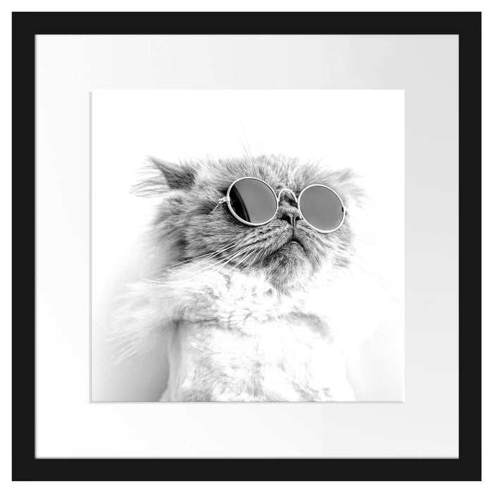 Coole Katze mit runder Sonnenbrille, Monochrome Passepartout Quadratisch 40