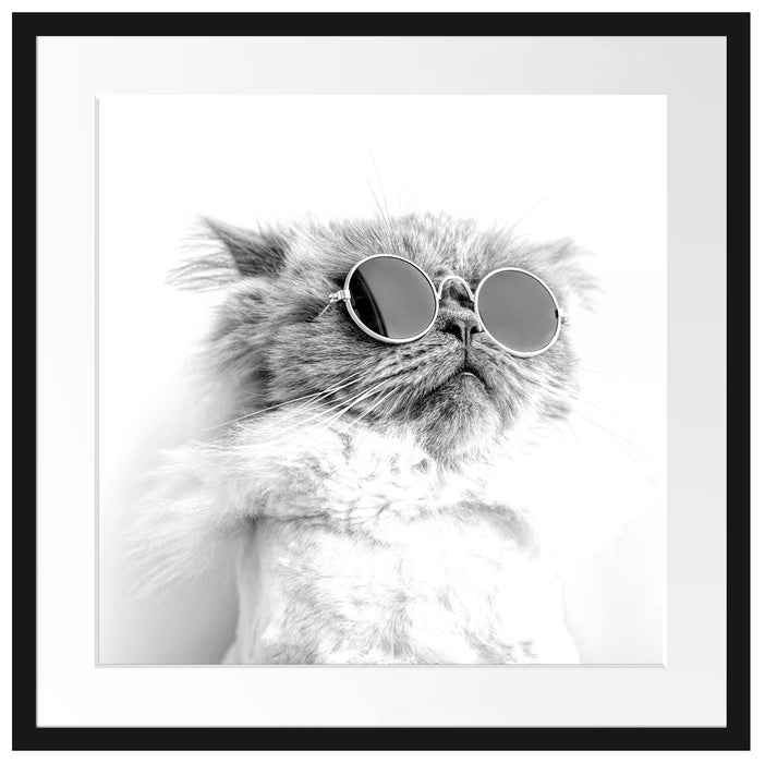Coole Katze mit runder Sonnenbrille, Monochrome Passepartout Quadratisch 55