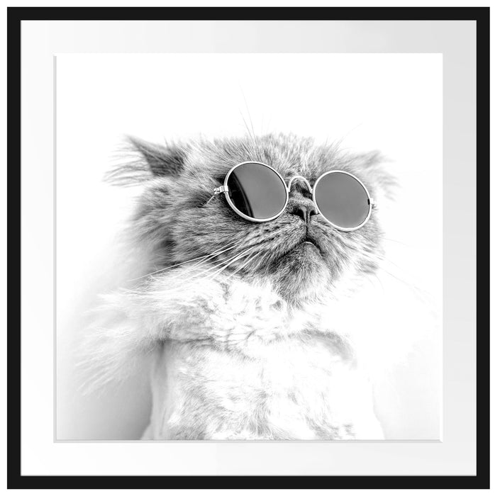 Coole Katze mit runder Sonnenbrille, Monochrome Passepartout Quadratisch 70