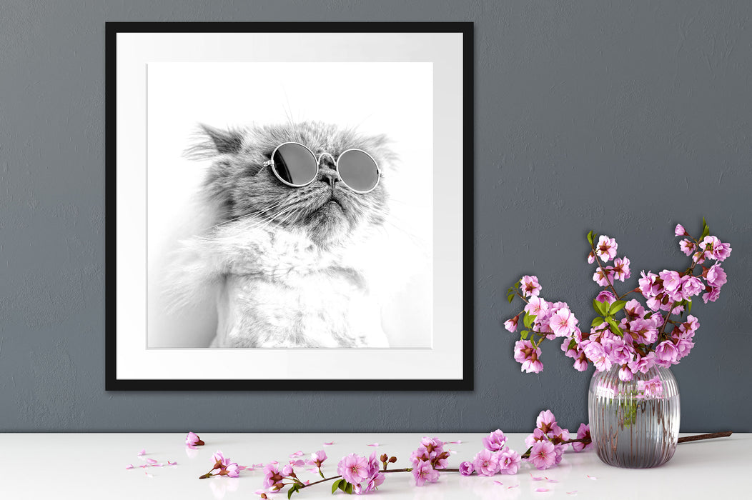 Coole Katze mit runder Sonnenbrille, Monochrome Passepartout Detail Quadratisch