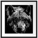 Nahaufnahme Wolf mit gelben Augen, Monochrome Passepartout Quadratisch 55