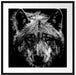 Nahaufnahme Wolf mit gelben Augen, Monochrome Passepartout Quadratisch 70
