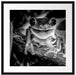 Lachender Frosch mit roten Augen auf Ast, Monochrome Passepartout Quadratisch 55