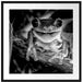 Lachender Frosch mit roten Augen auf Ast, Monochrome Passepartout Quadratisch 70