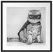 Süße Katze im Superheldenkostüm, Monochrome Passepartout Quadratisch 55