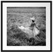 Frau im Kleid läuft durch Lavendelfeld, Monochrome Passepartout Quadratisch 55