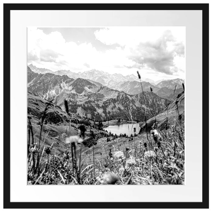 Wiesenblumen in den Bergen, Monochrome Passepartout Quadratisch 55