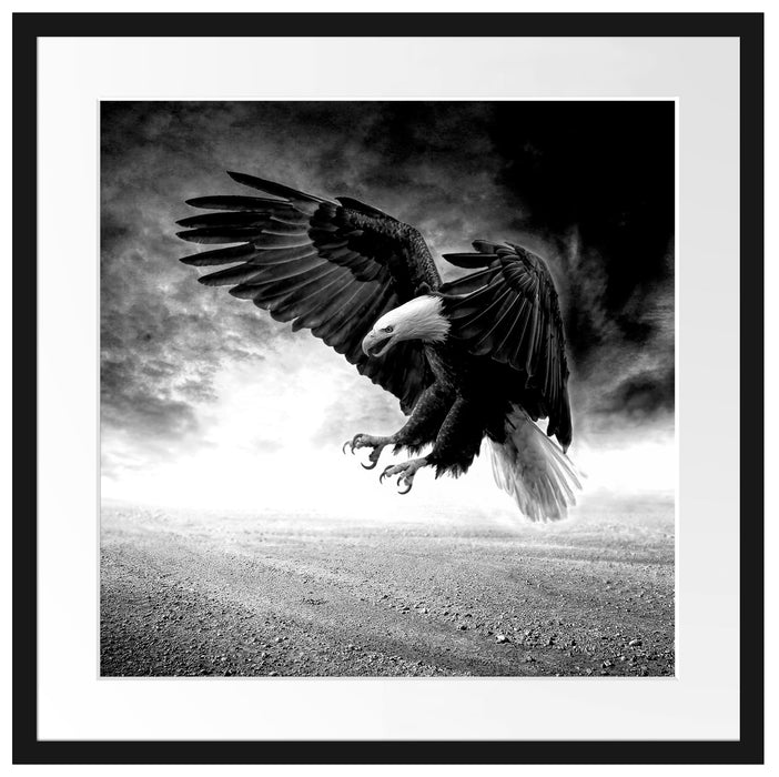 Angreifender Adler in Steinwüste, Monochrome Passepartout Quadratisch 55