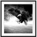 Angreifender Adler in Steinwüste, Monochrome Passepartout Quadratisch 70