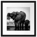 Elefantenkuh mit Jungem am Wasserloch, Monochrome Passepartout Quadratisch 40