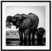 Elefantenkuh mit Jungem am Wasserloch, Monochrome Passepartout Quadratisch 70