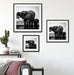 Elefantenkuh mit Jungem am Wasserloch, Monochrome Passepartout Wohnzimmer Quadratisch