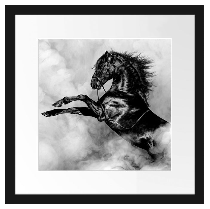 Schwarzes Pferd steigt im weißen Nebel, Monochrome Passepartout Quadratisch 40