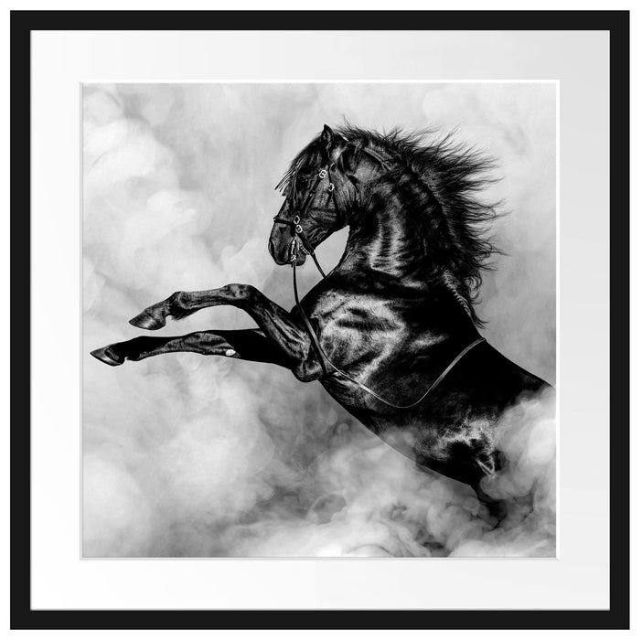 Schwarzes Pferd steigt im weißen Nebel, Monochrome Passepartout Quadratisch 55