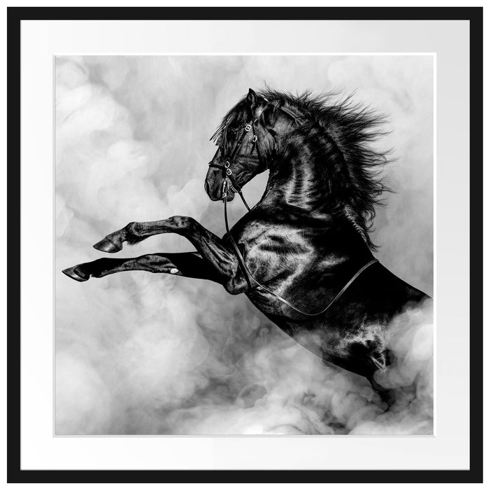Schwarzes Pferd steigt im weißen Nebel, Monochrome Passepartout Quadratisch 70