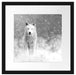 Majestätischer weißer Wolf im Schnee, Monochrome Passepartout Quadratisch 40