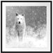 Majestätischer weißer Wolf im Schnee, Monochrome Passepartout Quadratisch 70