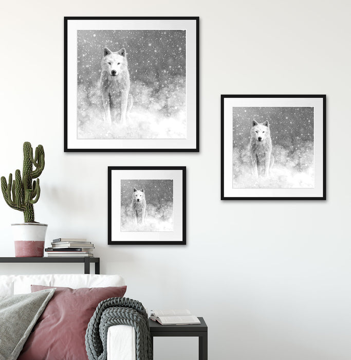 Majestätischer weißer Wolf im Schnee, Monochrome Passepartout Wohnzimmer Quadratisch