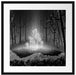 Leuchtende Zauberblumen im Wald, Monochrome Passepartout Quadratisch 55