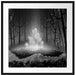 Leuchtende Zauberblumen im Wald, Monochrome Passepartout Quadratisch 70