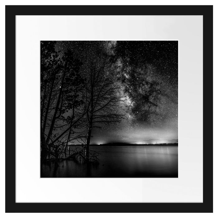Bäume am See in sternenklarer Nacht, Monochrome Passepartout Quadratisch 40