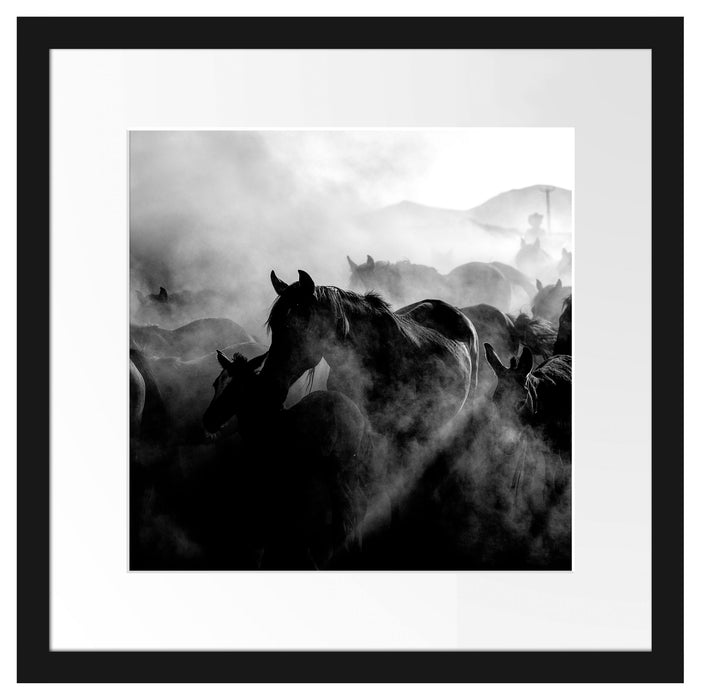 Pferdeherde im Staub bei Sonnenuntergang, Monochrome Passepartout Quadratisch 40