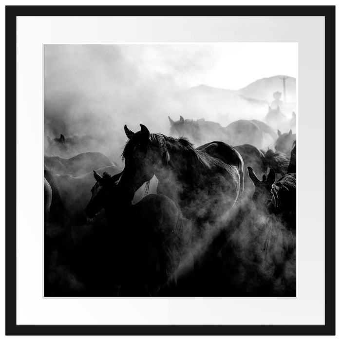 Pferdeherde im Staub bei Sonnenuntergang, Monochrome Passepartout Quadratisch 55
