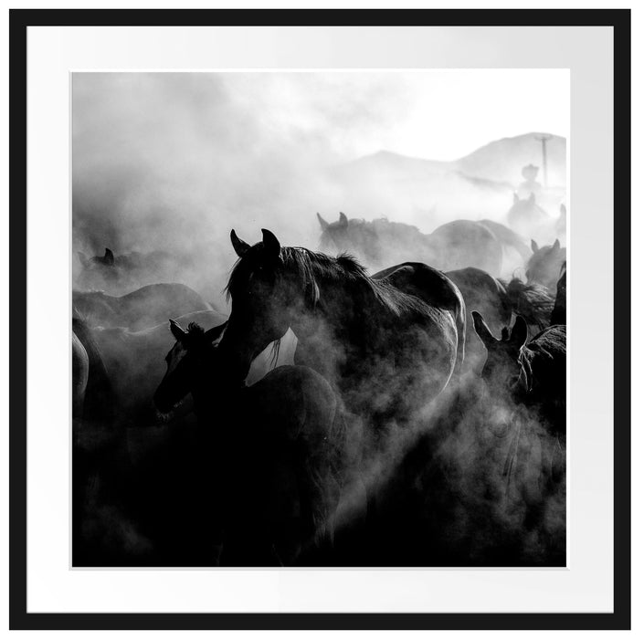 Pferdeherde im Staub bei Sonnenuntergang, Monochrome Passepartout Quadratisch 70