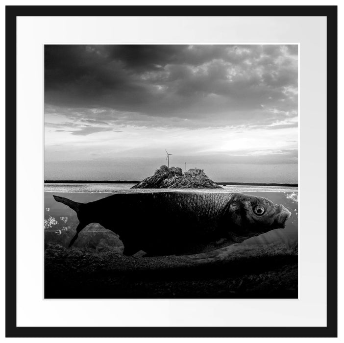 Abstrakter Fisch mit Felsrücken, Monochrome Passepartout Quadratisch 55
