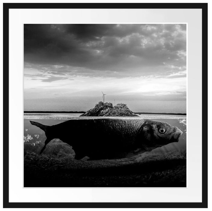 Abstrakter Fisch mit Felsrücken, Monochrome Passepartout Quadratisch 70
