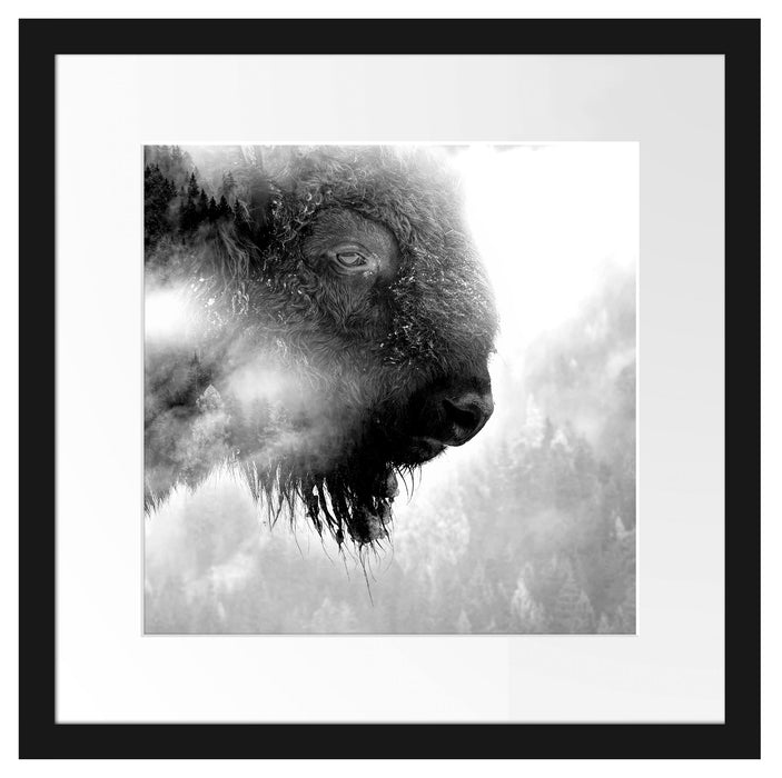 Wildes Bison in nebeligem Wald, Monochrome Passepartout Quadratisch 40