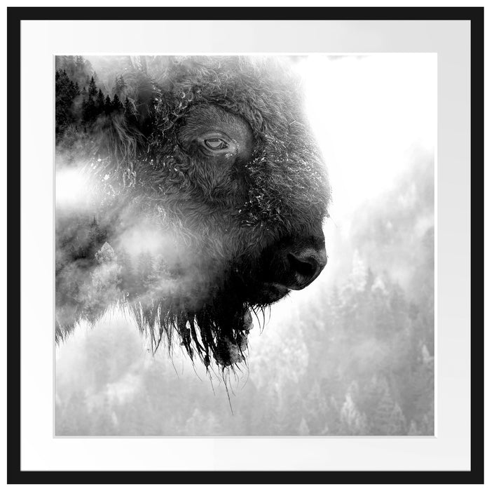 Wildes Bison in nebeligem Wald, Monochrome Passepartout Quadratisch 70