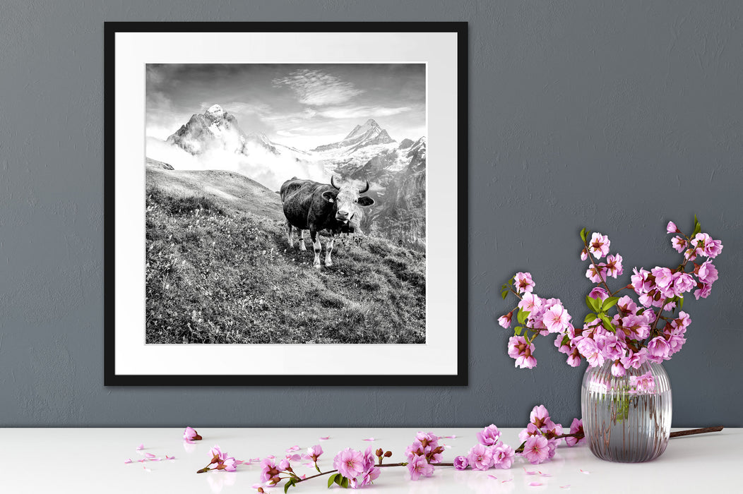 Kuh auf grüner Alm in den Bergen, Monochrome Passepartout Detail Quadratisch